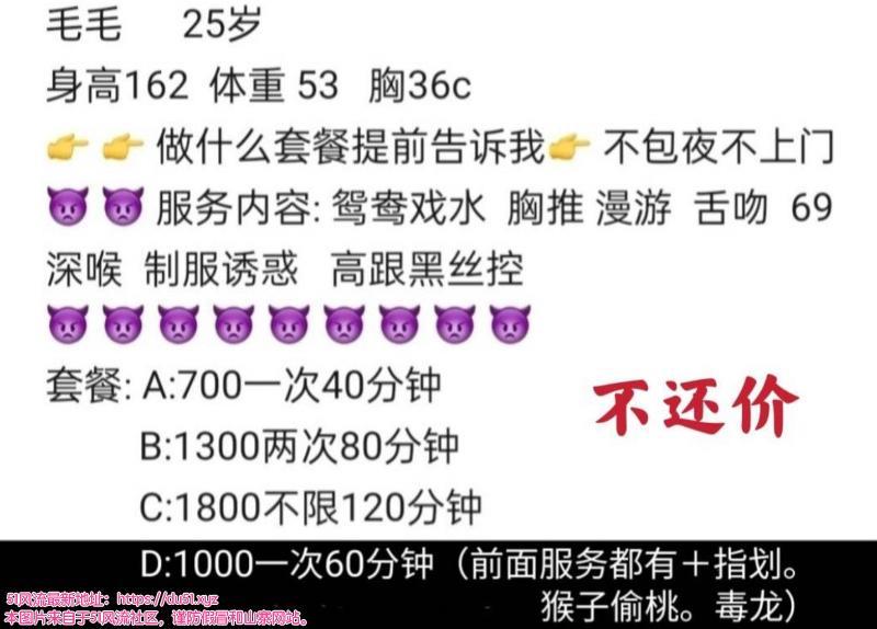 南山区金发毛毛