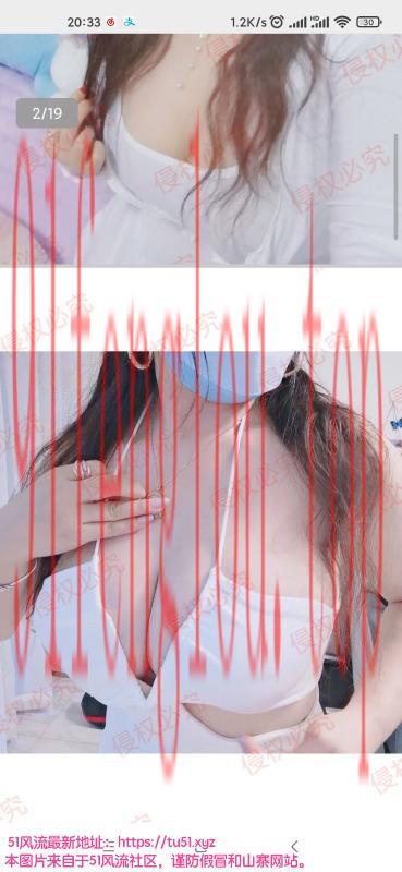 南山大新大奶兔