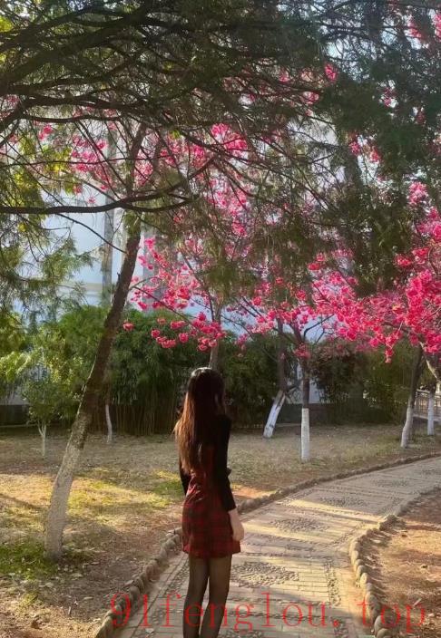 成熟骚欲女玩的开