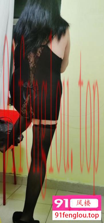 南山三百不限次