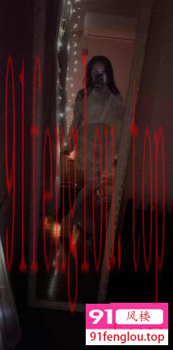 栖霞中项小野猫